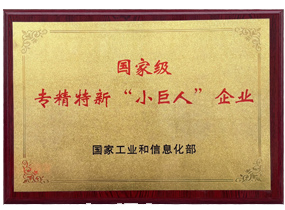“小巨人”企业